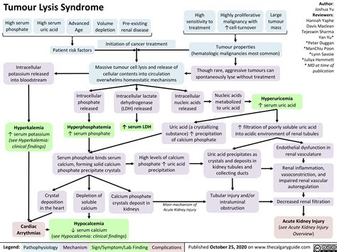 Tumor Lysis Syndrome Tumour Lysis Syndrome — The Intern At Work