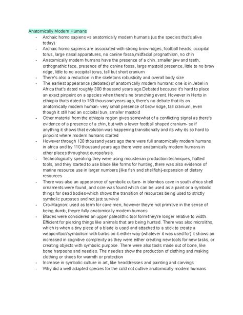 Anatomically Modern Humans 的图像结果