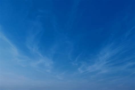 Image result for Perforated Appendix