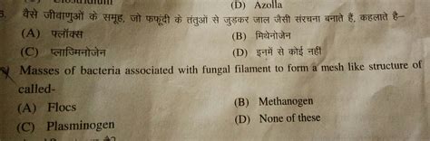 Masses of bacteria associated with fungal filament to form a mesh like ...
