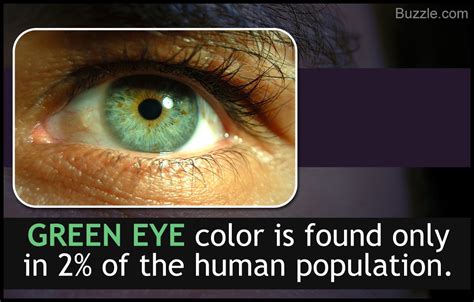 Eye Color Genetics 的图像结果