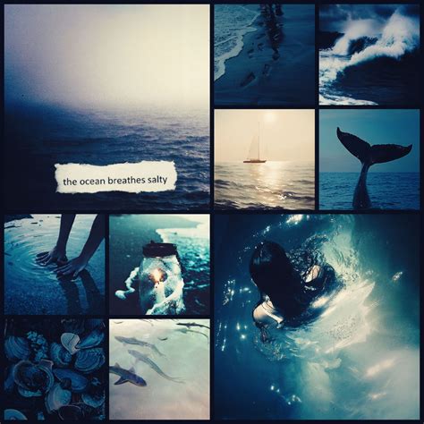 Ocean breathes salty moodboard. by Pig3on2 on DeviantArt