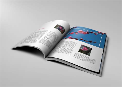 书籍装帧设计|平面|书籍/画册|徐阳晨 - 原创作品 - 站酷 (ZCOOL)