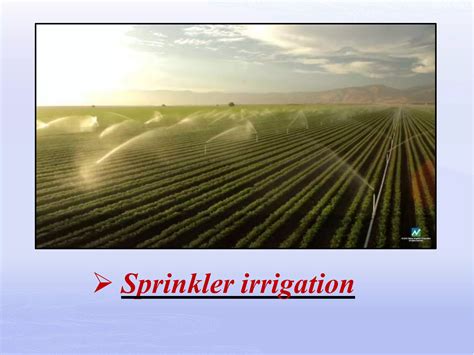 Irrigation Tutorials 的图像结果