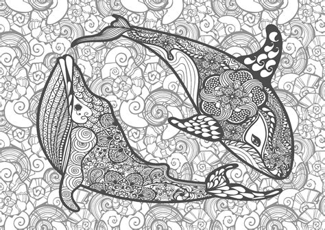 Image result for Dictionary Type Python