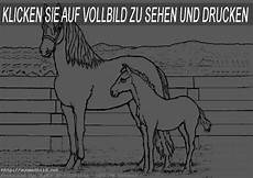 malvorlagen pferde zum ausdrucken lassen pferde 2 ausmalbild malvorlagen pferde zum ausdrucken lassen pferde 2 ausmalbild