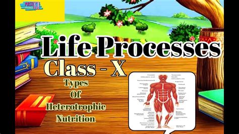 Image result for Class X BioLife Processes