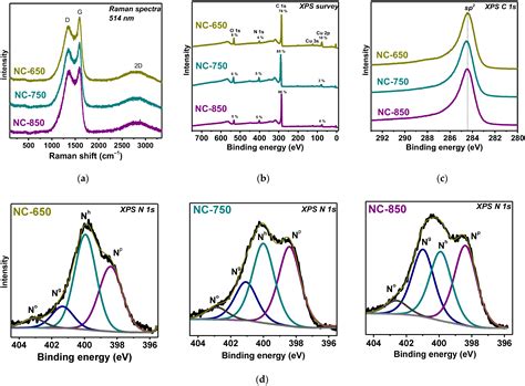 Tuning Nitrogen-Doped Carbon Electrodes via Synthesis Temperature ...