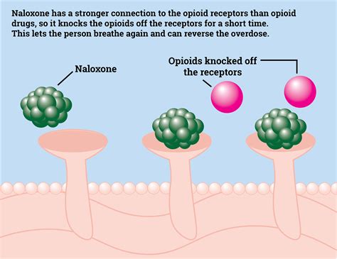 Naloxone Training | Pueblo County