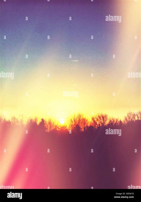 Simple Sunset 的图像结果