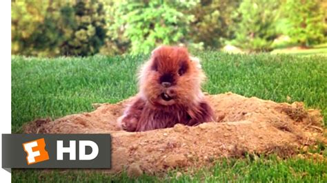Image result for Caddyshack Movie Clips