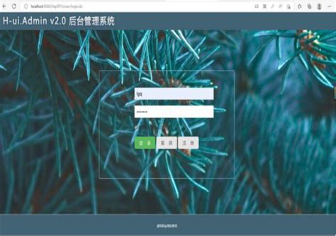HTTP Visualization 的图像结果