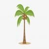 information about coconut tree 3rd class 10line - Brainly.in