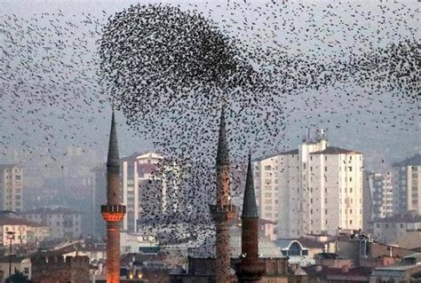 土耳其7级地震前兆：天显蓝光，飞鸟哀鸣，破坏力达130颗核弹威力 - 知乎