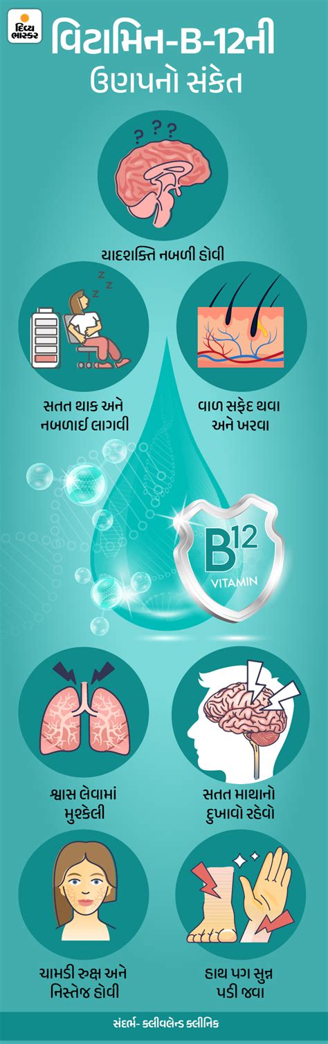 Health Note- The human body does not make vitamin B-12