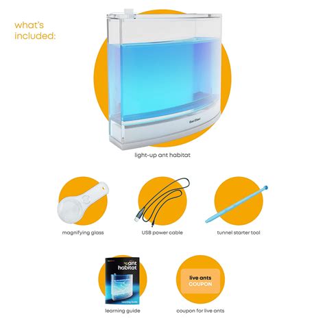 Light-up Ant Farm Terrarium Kit for Kids – LED Ant Habitat for Live ...