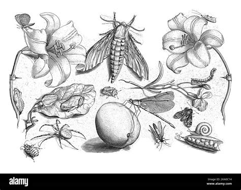 Print from a series of 48 prints, divided into four separate parts of ...