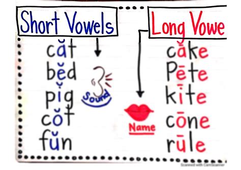 SOLUTION: Short vowels vs long vowels project - Studypool