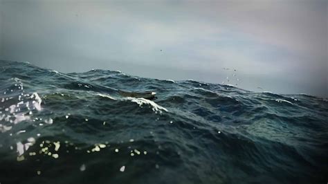 Computer Simulation of the Ocean 的图像结果