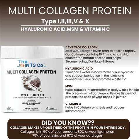 Best Protein Powder for Joints - Nutrisage – Nutrisage India