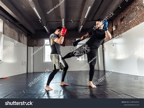 Boxing Sparring Partner 的图像结果