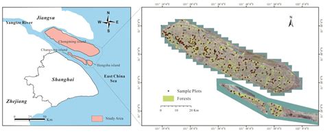 Estimating the Forest Carbon Storage of Chongming Eco-Island, China ...