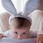 Image result for Wild Rabbits and Their Babies