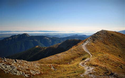 Clear Insight – Medium