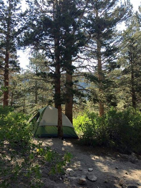 Rock Creek Campground Colorado Reservations & Reviews