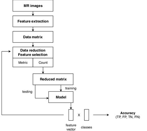 Classification Algorithm 的图像结果