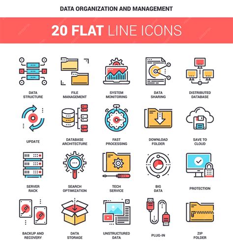 Data Management Organization Chart 的图像结果