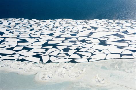 Arctic 的图像结果