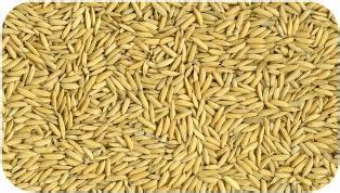 TNAU Agritech Portal :: Post Harvest Technology