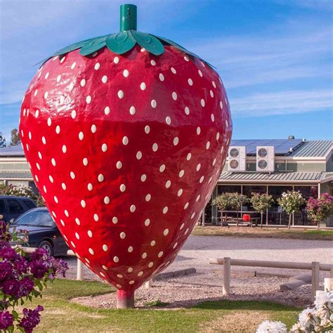 The Big Strawberry (Koonoomoo) - 2022 Lo que se debe saber antes de ...