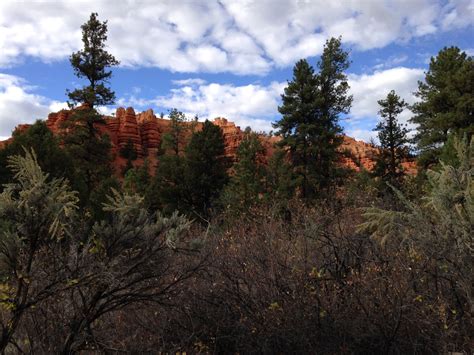 Red Canyon Campground in Dixie National Forest, Utah: Reviews and ...