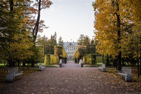 Картинки пушкино парк (70 фото)