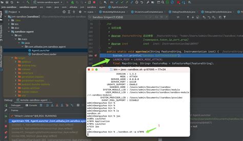 Sand Box Program 的图像结果