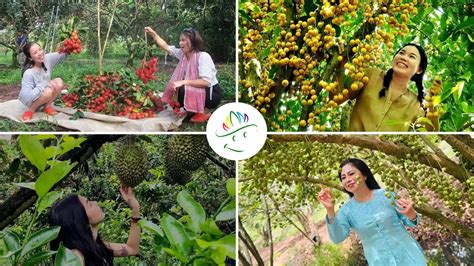 Image result for Selection Sort Using Function in Python