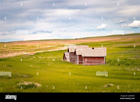 Countryside 的图像结果