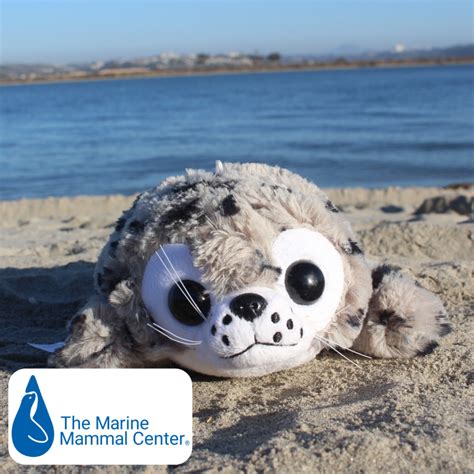 Sammy the Seal - SB003 | Island Treasure Toys