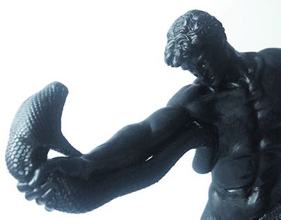 Python Wrestling Techniques 的图像结果