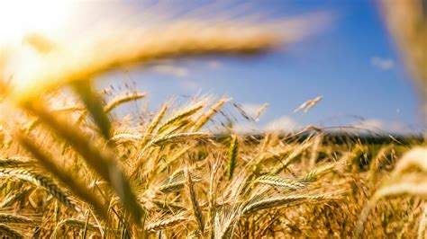 Proving that abundance thinking beats scarcity | Meer