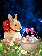 Image result for Easter Bunny Holding Egg