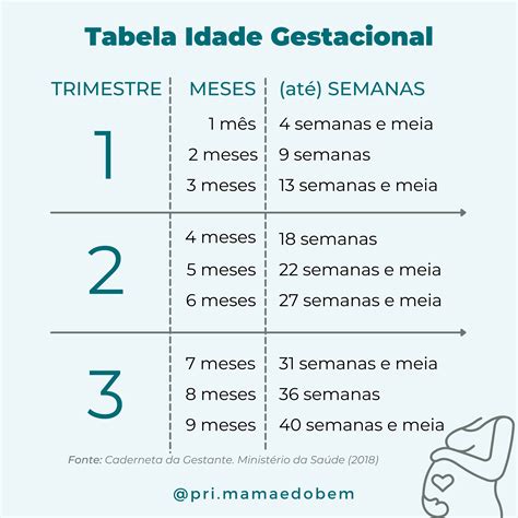 Tabela De Semanas Gestação - NAZAEDU