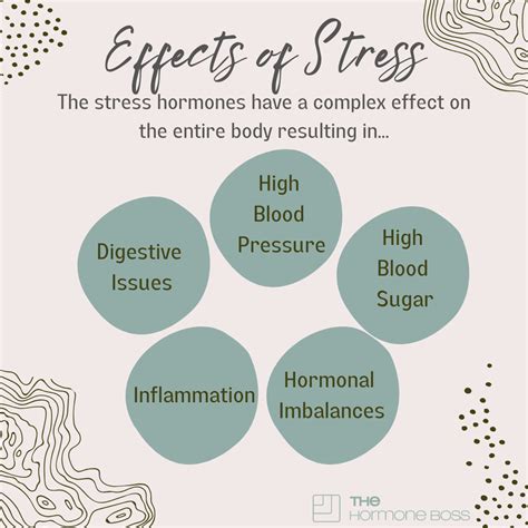 Pin on Hormone Health