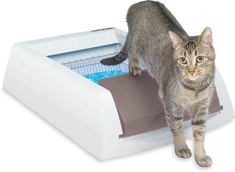 ScoopFree PAL19-14657 PetSafe Original Self-Cleaning Litter Box for ...