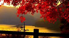 best hd best hd wallpapers pixelstalk net best hd best hd wallpapers pixelstalk net
