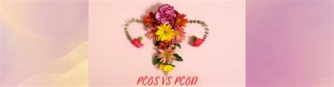 PCOS & PCOD - Know Symptoms, Causes, and Differences — Dr Trust