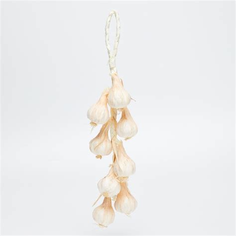 Buy Conifer Artificial Garlic Bunch Set from Home Centre at just INR 499.0