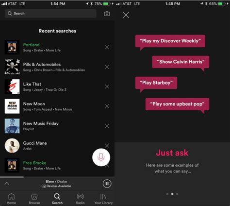 Image result for Python Spotify Voice Control